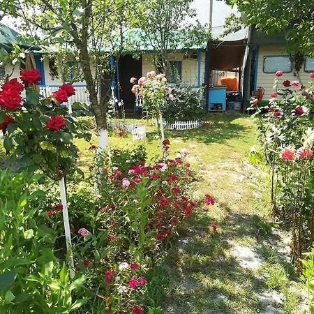 Camping Casuta Mihaela Crisan  Eksteriør bilde