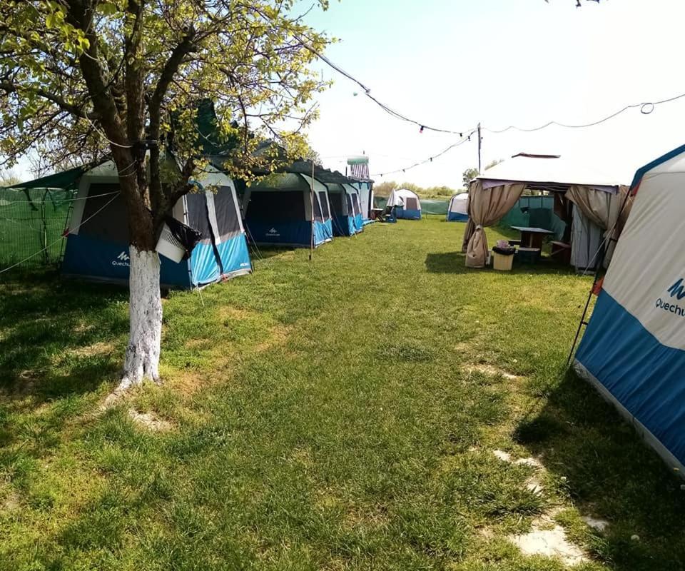 Camping Casuta Mihaela Crisan  Eksteriør bilde