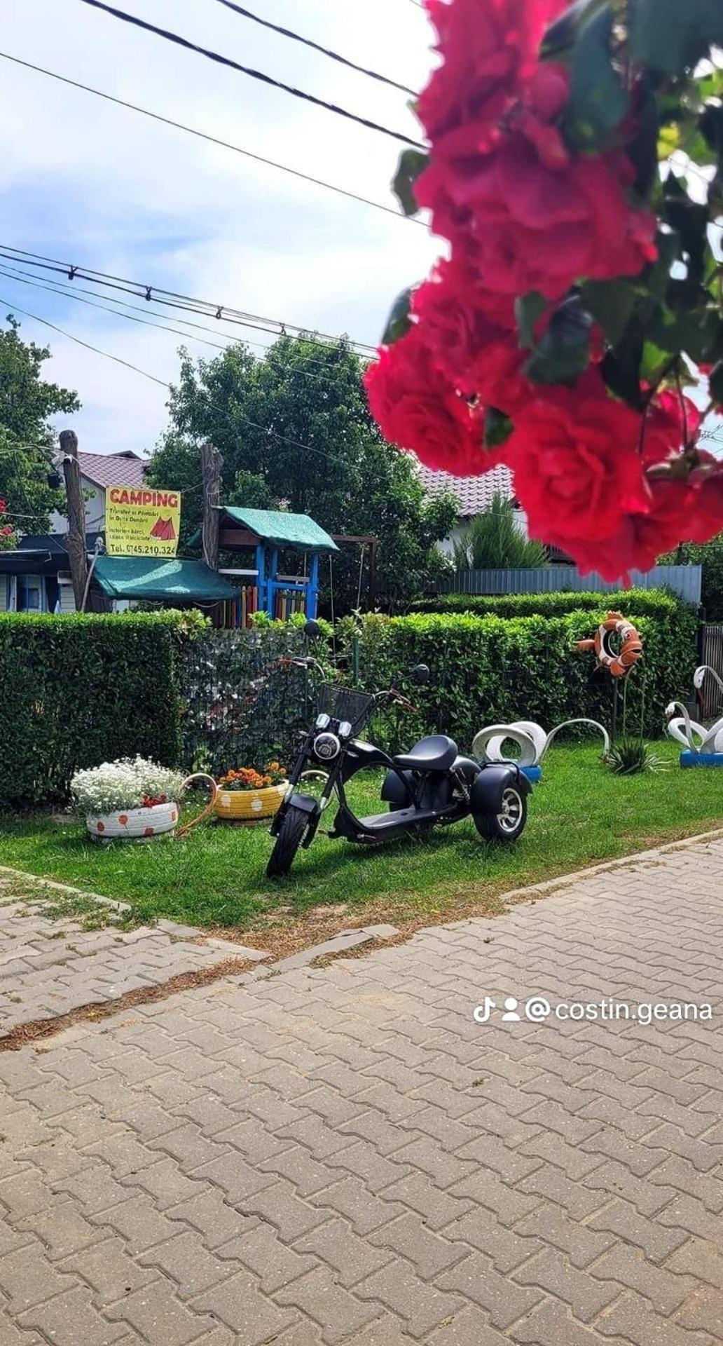 Camping Casuta Mihaela Crisan  Rom bilde