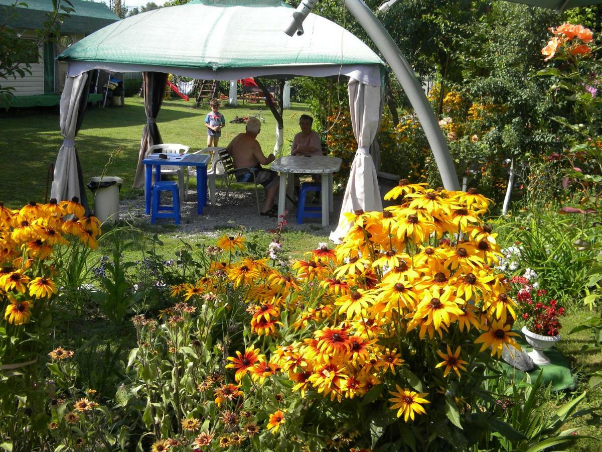 Camping Casuta Mihaela Crisan  Eksteriør bilde